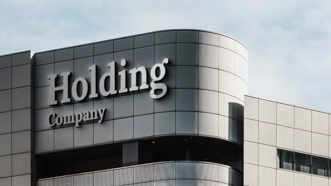 Holding et organisation patrimoniale